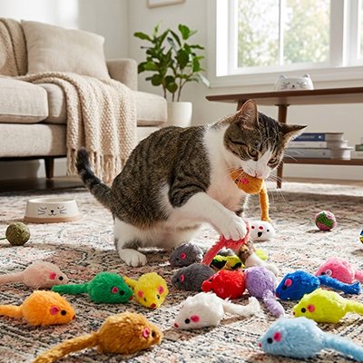 souris pour chat Dynamo - variété