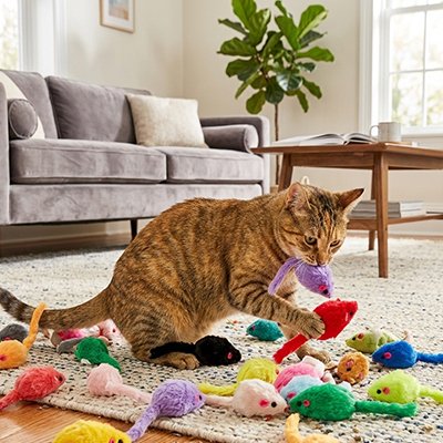 souris pour chat Dynamo - pack de 25