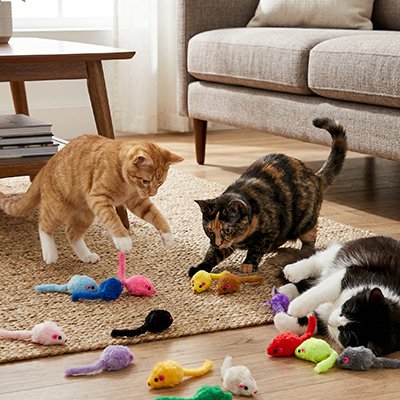 souris pour chat Dynamo - en jeu