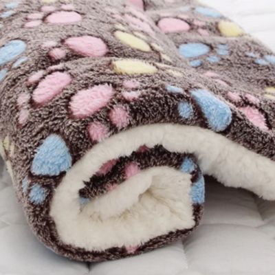 tapis-chat-cafe