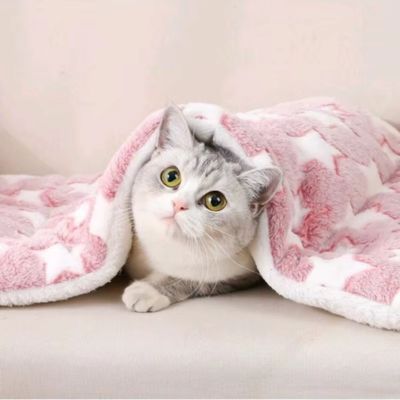 tapis-chat-rose-chatoile