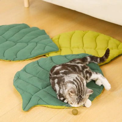 tapis-chat-feuille-vert