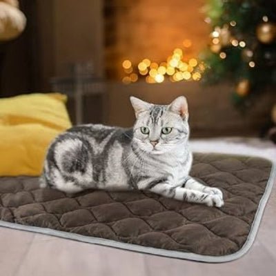 tapis-chat-koumi-pliable