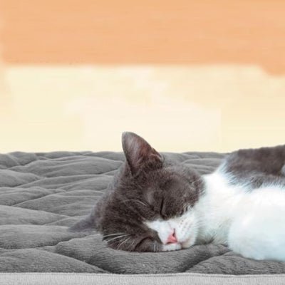 tapis-chat-koumi-rectangulaire 