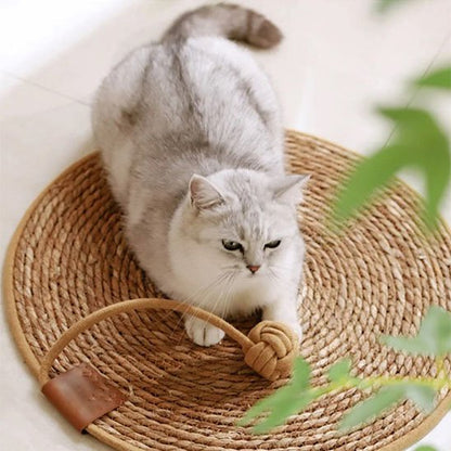 tapis-griffoir-chat-en-sisal-naturel-avec-bal