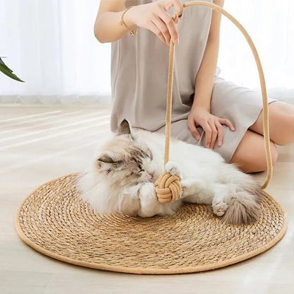 tapis-griffoir-chat-en-sisal-naturel 