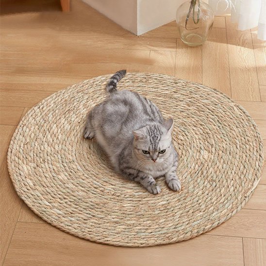 tapis-griffoir-chat-forme-ronde