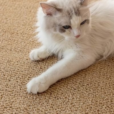 tapis-griffoir-chat-large-en-tissus