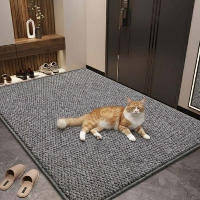 tapis-griffoir-chat-large-résistant