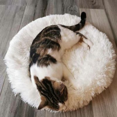 tapis-pour-chat-blanc