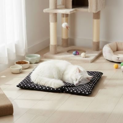 tapis-pour-chat-ergonomique