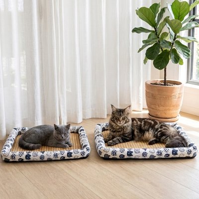 tapis-rafraichissant-chat-avec-contour-rembourré-ergonomique