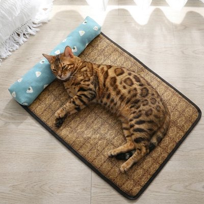 tapis-rafraichissant-chat-avec-coussin-utile