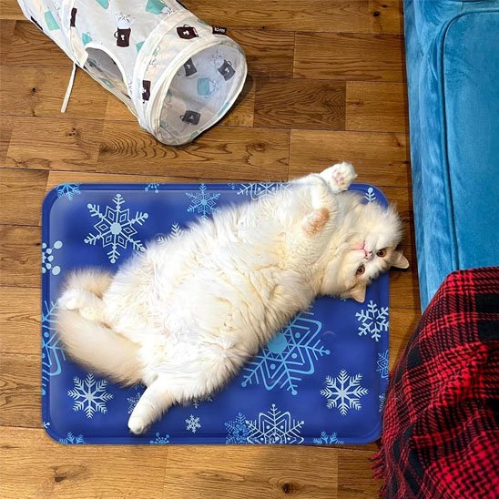 tapis-rafraichissant-chat-bleu-rectangulaire 