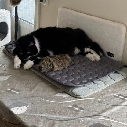 tapis-rafraichissant-chat-large