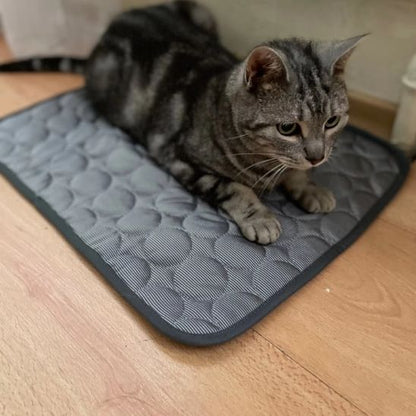 tapis-rafraichissant-chat-gris-petit