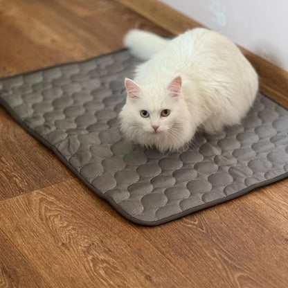 tapis-rafraichissant-chat-gris