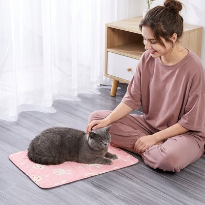 tapis-rafraichissant-chat-confortable-lapin