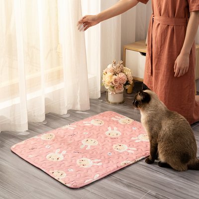 tapis-rafraichissant-chat-lapin-amusant