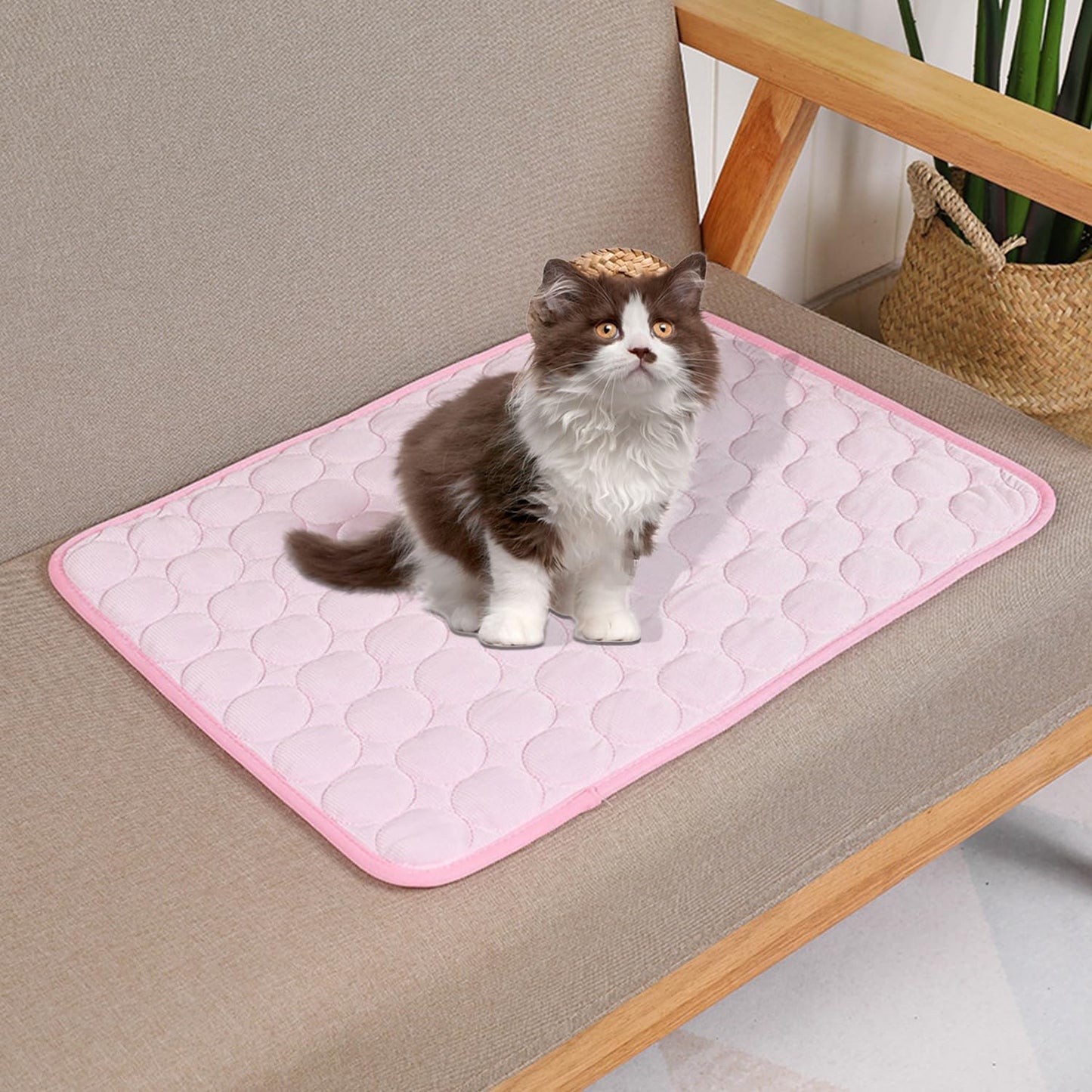 tapis-rafraichissant-chat-rose