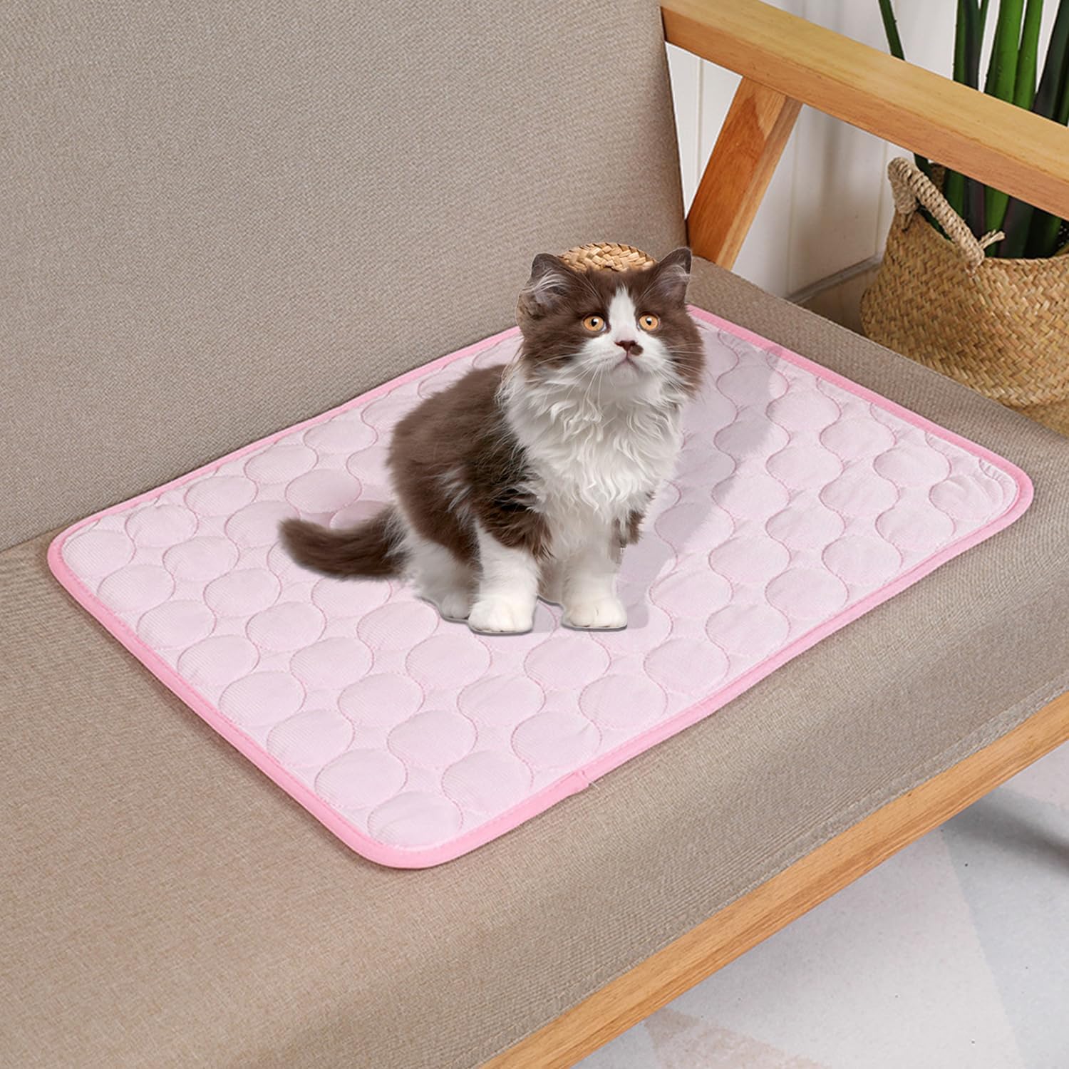 tapis-rafraichissant-chat-rose