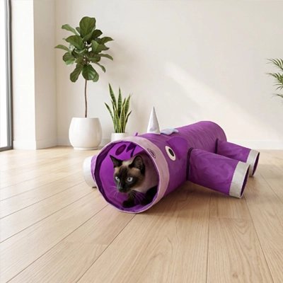 tunnel-chat-ludique