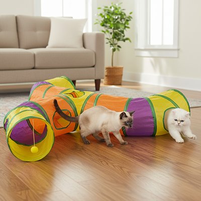 tunnel-chat-multicolore-pour-plusieurs-chats