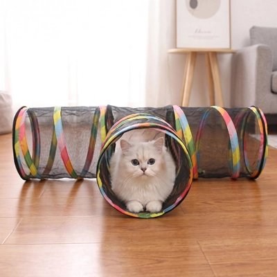 tunnel-chat-tway-éducatif