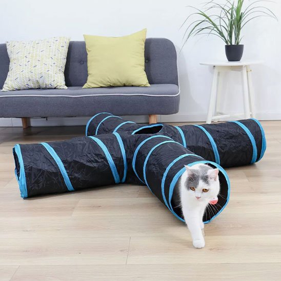 tunnel-pour-chat-format-croisée-amusant