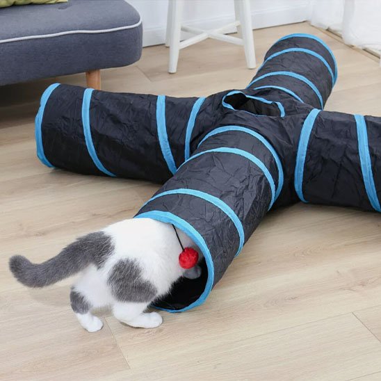 tunnel-pour-chat-format-croisée-ludique