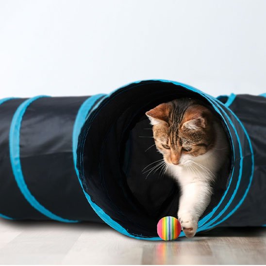 tunnel-pour-chat-format-croisée